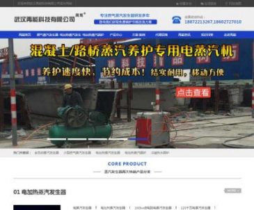燃气蒸汽锅炉（网址：www.whzhoudu.com）