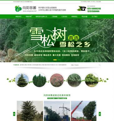 南京向阳苗圃场（网址：www.songmiao.net）