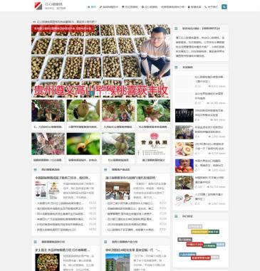 红心猕猴桃苗（网址：www.pujiangmihoutao.com）