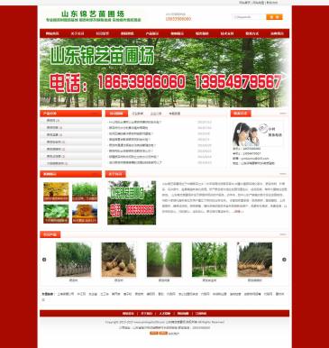 山东锦艺苗圃场（www.yinxingshu58.com），山东锦艺苗圃场（www.yinxingshu58.com），山东锦艺苗圃场基地提供各类银杏苗、银杏树苗、银杏树价格、银杏树批发、实地操作、现挖现卖。欢迎广大新老客户前来考察合作。咨询电话：