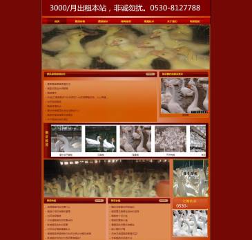 郓城鑫隆鹅业孵化场（网址：www.shandongemiao.com）