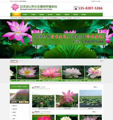 白洋淀沁芳水生植物（www.anxinhelian.com），白洋淀沁芳水生植物（www.anxinhelian.com），白洋淀沁芳水生植物种植公司主要业务包括四大类：水生种植，睡莲苗，荷花种植和水生花卉。供应荷叶莲藕、荷花种子、荷花苗、盆栽荷花、