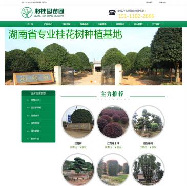 湘桂园苗圃（www.xiangguiyuan.com），湘桂园苗圃（www.xiangguiyuan.com），湖南苗木基地【湘桂园:15111022666】主营:园林绿化苗木,造型罗汉松,精品桂花树,自然罗汉松,茶花球等绿化苗木产品.500余亩苗木种植基地,高品质保障.支持