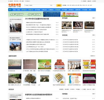 中国养羊网