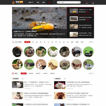 宠物门户（www.petmh.com），宠物门户（www.petmh.com），宠物门户是属于宠物爱好者的综合型网站.这里是宠物狗,宠物猫,宠物龟等宠物爱好者们的集中地.宠物百科的详细介绍.健康养宠从宠物门户开始。