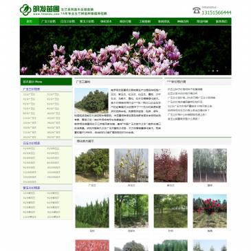 南京明发苗圃场（网址：www.1miaomu.com）