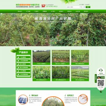 攸县和源油茶苗（网址：www.yxhyyc.com）
