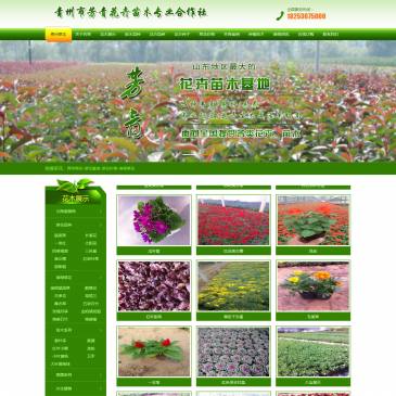 青州芳青花卉苗木（网址：www.caohuawang.com）