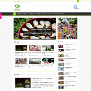 思影多肉种植园（www.drzzy.cn），思影多肉种植园（www.drzzy.cn），思影多肉种植园向肉肉爱好者介绍多肉植物图鉴,普及多肉植物栽培知识，多肉植物怎么养的养护知识,肉肉植物大全趣事,分享各地肉友的肉肉图片,寓教于