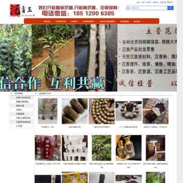 广东沉香技术育苗基地（网址：www.cxm1688.com）