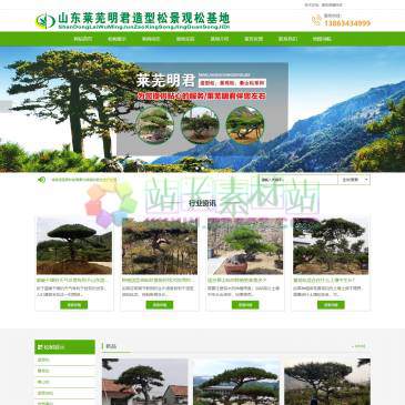山东莱芜明君造型松（www.lwmjjgs.com），