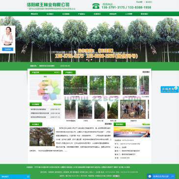 洛阳楸王林业（www.lyqwly.com），