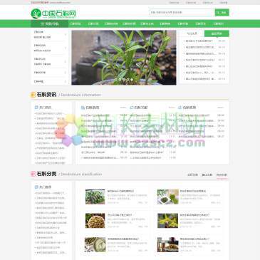 中国石斛网（网址：www.cnshihuw.com）