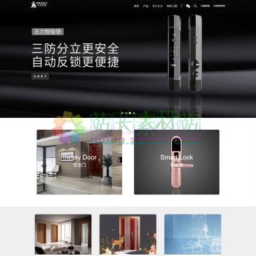 王力安防科技（网址：www.wanglianfang.com）