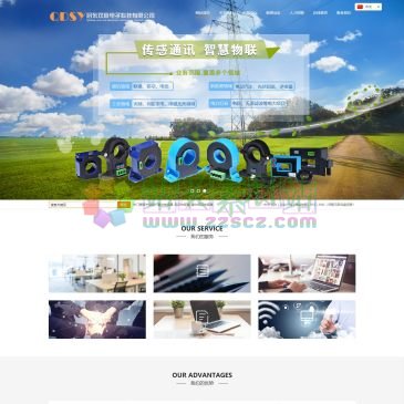 启东双赢电子科技（网址：www.qdsy-sensor.cn）