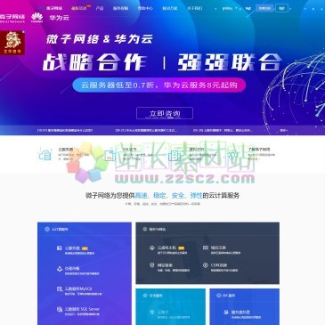 江苏微子网络（网址：www.vzidc.com）