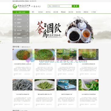 信阳车云山茶业